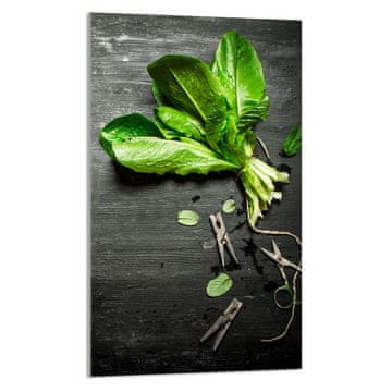 TMK STAKLENA DASKA ZA REZANJE 30x52 Bosiljak