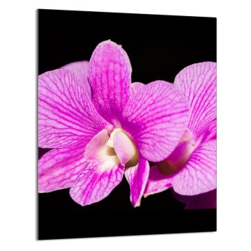 TMK STAKLENA DASKA ZA REZANJE 40x52 Orhideja