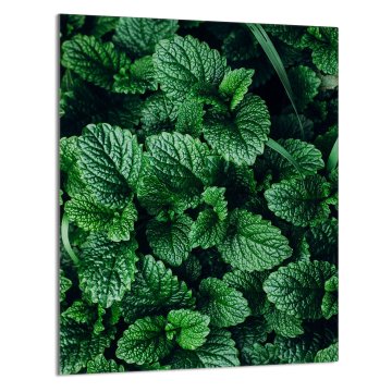 TMK STAKLENA DASKA ZA REZANJE 40x52 Melissa