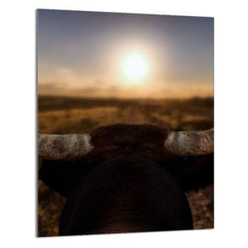TMK STAKLENA DASKA ZA REZANJE 40x52 Sun
