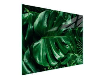TMK STAKLENA DASKA ZA REZANJE 52x30 MONSTERA