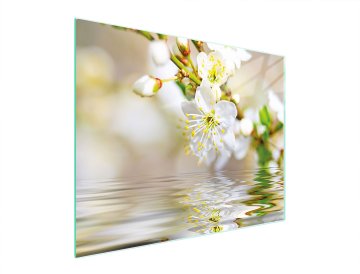 TMK STAKLENA DASKA ZA REZANJE 52x40 ŠLJIVA