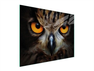 TMK STAKLENA DASKA ZA REZANJE 52x40 OWL