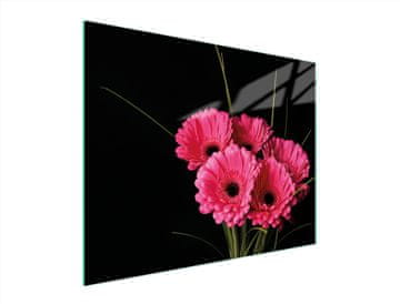 TMK STAKLENA DASKA ZA REZANJE 52x40 GERBERA