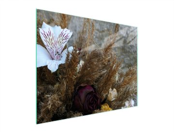 TMK STAKLENA DASKA ZA REZANJE 52x40 ORHIDEJA