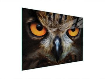 TMK STAKLENA DASKA ZA REZANJE 40x30 OWL