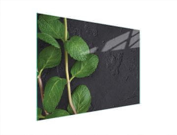 TMK STAKLENA DASKA ZA REZANJE 40x30 MENTA