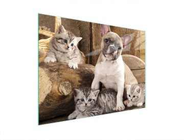 TMK STAKLENA DASKA ZA REZANJE 40x30 DOG