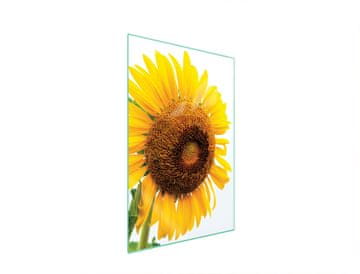 TMK STAKLENA DASKA ZA REZANJE 35x52 CVIJET