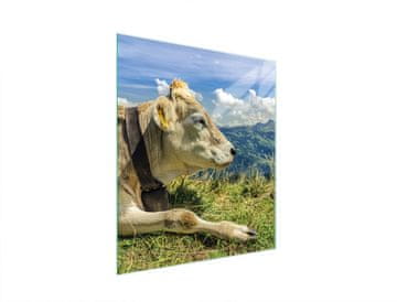 TMK STAKLENA DASKA ZA REZANJE 45x52 KRAVICA