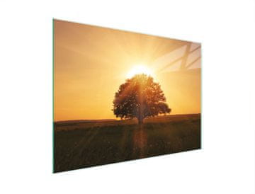 TMK STAKLENA DASKA ZA REZANJE 30x22 DRVO