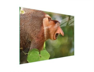 TMK STAKLENA DASKA ZA REZANJE 30x22 NOSACZ