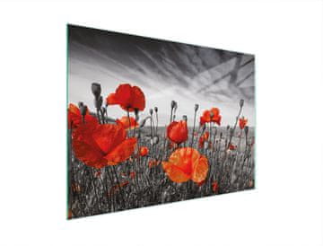 TMK STAKLENA DASKA ZA REZANJE 30x22 MAKI