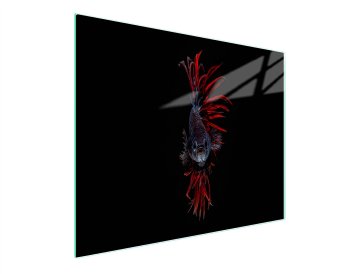 TMK STAKLENA DASKA ZA REZANJE 52x30 RIBA