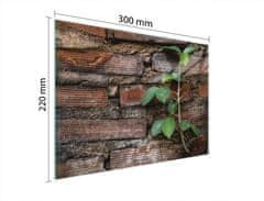 TMK STAKLENA DASKA ZA REZANJE 30x22 CIGLENA