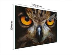 TMK STAKLENA DASKA ZA REZANJE 30x22 OWL
