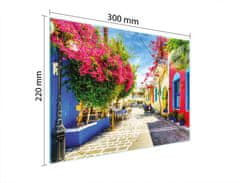 TMK STAKLENA DASKA ZA REZANJE 30x22 STREET