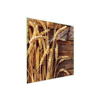 TMK ZAŠTITNA PLOČA OD STAKLA ZA ŠTEDNJAK 50x52 PŠENICA