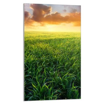 TMK STAKLENA DASKA ZA REZANJE 30x52 Pogledajte