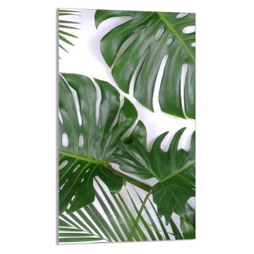 TMK STAKLENA DASKA ZA REZANJE 30x52 Monstera