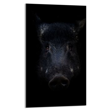 TMK STAKLENA DASKA ZA REZANJE 30x52 Vepar