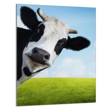 TMK STAKLENA DASKA ZA REZANJE 40x52 Cow