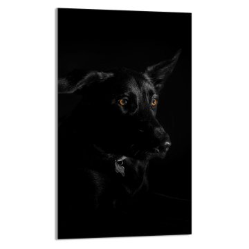 TMK STAKLENA DASKA ZA REZANJE 30x52 Pas