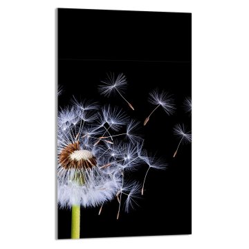 TMK STAKLENA DASKA ZA REZANJE 30x52 Cvijet