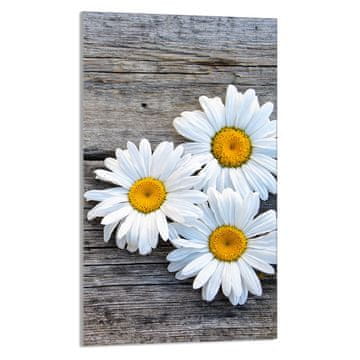 TMK STAKLENA DASKA ZA REZANJE 30x52 Daisy