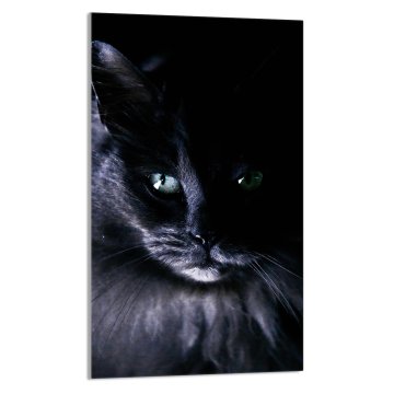 TMK STAKLENA DASKA ZA REZANJE 30x52 Mačka