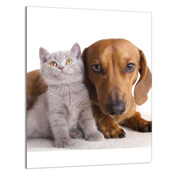 TMK STAKLENA DASKA ZA REZANJE 40x52 Životinje