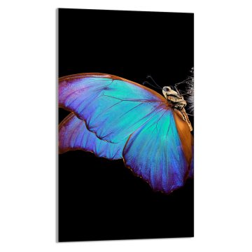 TMK STAKLENA DASKA ZA REZANJE 30x52 Leptir