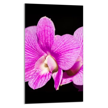 TMK STAKLENA DASKA ZA REZANJE 30x52 Orhideja