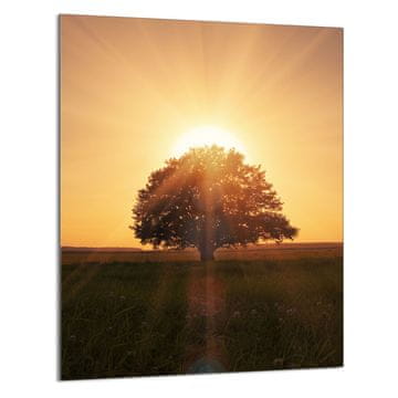 TMK STAKLENA DASKA ZA REZANJE 40x52 Drvo