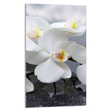 TMK STAKLENA DASKA ZA REZANJE 30x52 Orhideja