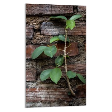 TMK STAKLENA DASKA ZA REZANJE 30x52 Cigla