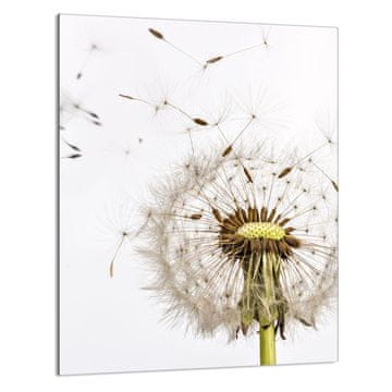 TMK STAKLENA DASKA ZA REZANJE 40x52 Cvijet