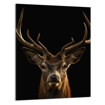 TMK STAKLENA DASKA ZA REZANJE 40x52 Jelen