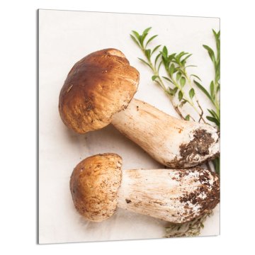 TMK STAKLENA DASKA ZA REZANJE 40x52 Gljive