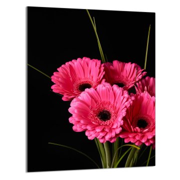 TMK STAKLENA DASKA ZA REZANJE 40x52 Gerbera