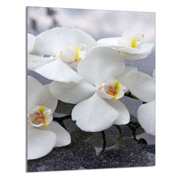 TMK STAKLENA DASKA ZA REZANJE 40x52 Orhideja