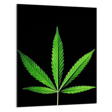 TMK STAKLENA DASKA ZA REZANJE 40x52 List