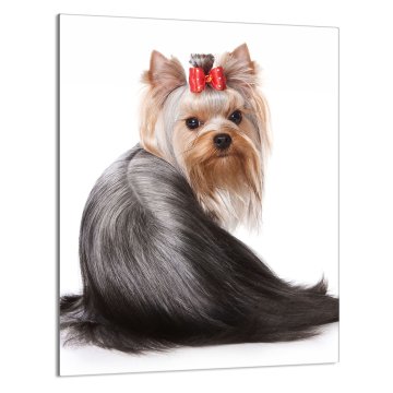 TMK STAKLENA DASKA ZA REZANJE 40x52 Pas