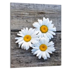 TMK STAKLENA DASKA ZA REZANJE 40x52 Daisy
