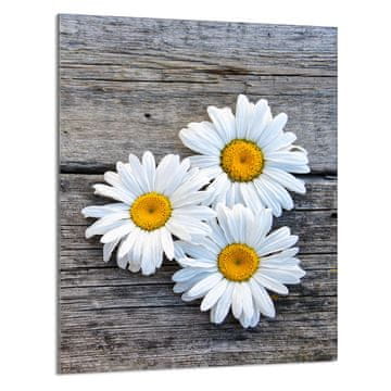 TMK STAKLENA DASKA ZA REZANJE 40x52 Daisy