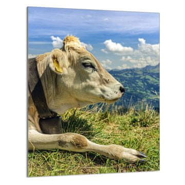 TMK STAKLENA DASKA ZA REZANJE 40x52 Cow