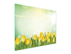 TMK STAKLENA DASKA ZA REZANJE 52x40 TULIPANA