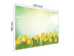 TMK STAKLENA DASKA ZA REZANJE 52x40 TULIPANA