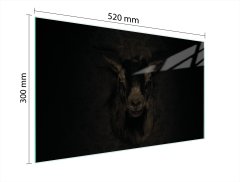 TMK STAKLENA DASKA ZA REZANJE 52x30 KOZA