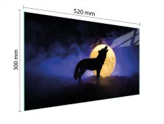 TMK STAKLENA DASKA ZA REZANJE 52x30 WOLF